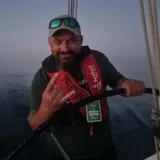 Mircea P.